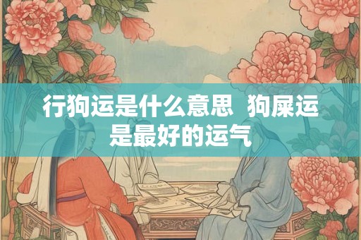 行狗运是什么意思  狗屎运是最好的运气
