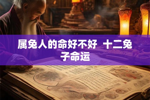 属兔人的命好不好  十二兔子命运