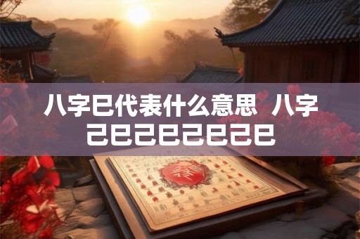 八字巳代表什么意思  八字己巳己巳己巳己巳