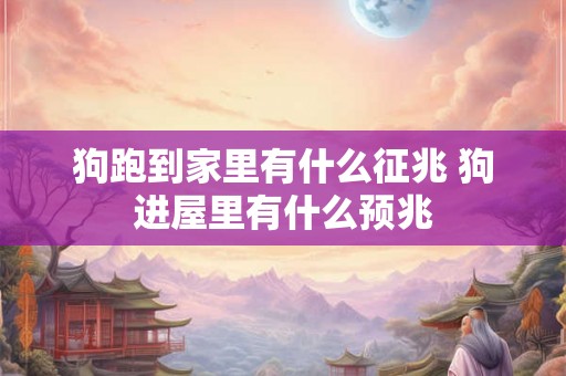 狗跑到家里有什么征兆 狗进屋里有什么预兆