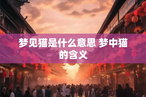 梦见猫是什么意思 梦中猫的含义