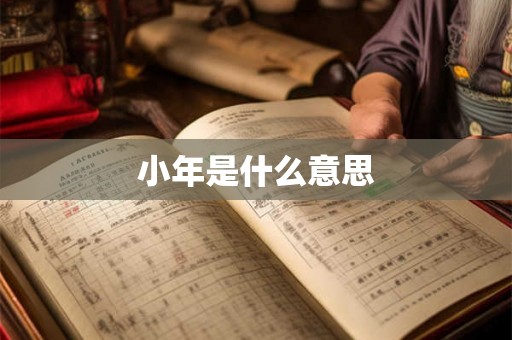 小年是什么意思