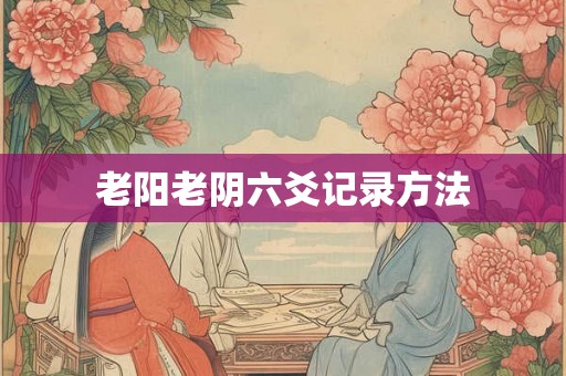 老阳老阴六爻记录方法