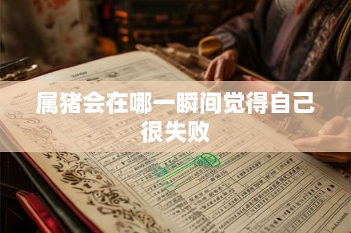 属猪会在哪一瞬间觉得自己很失败