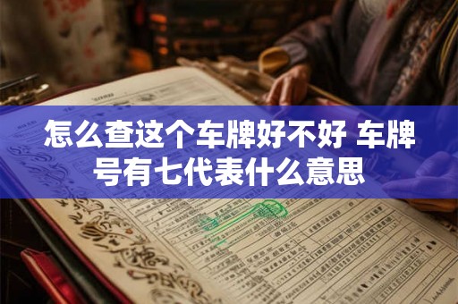 怎么查这个车牌好不好 车牌号有七代表什么意思