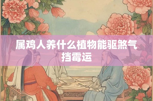 属鸡人养什么植物能驱煞气挡霉运