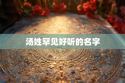 汤姓罕见好听的名字