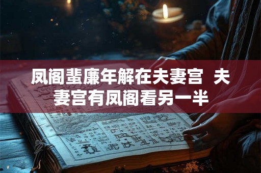 凤阁蜚廉年解在夫妻宫  夫妻宫有凤阁看另一半