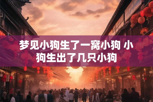 梦见小狗生了一窝小狗 小狗生出了几只小狗
