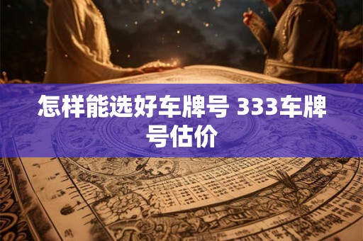 怎样能选好车牌号 333车牌号估价 怎样能选好车牌号 333车牌号估价