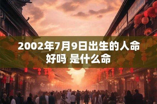 2002年7月9日出生的人命好吗 是什么命
