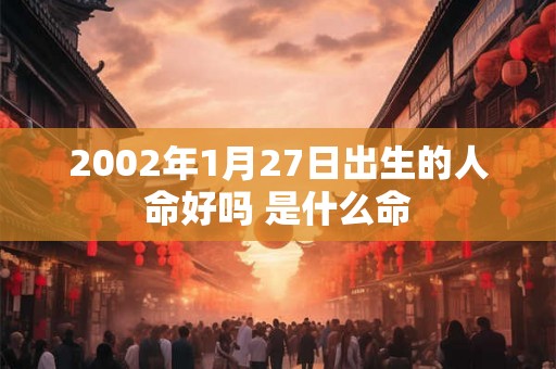 2002年1月27日出生的人命好吗 是什么命