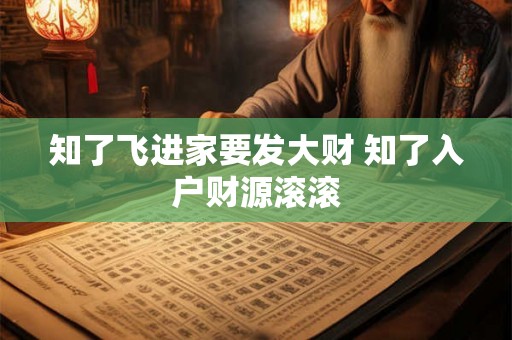知了飞进家要发大财 知了入户财源滚滚