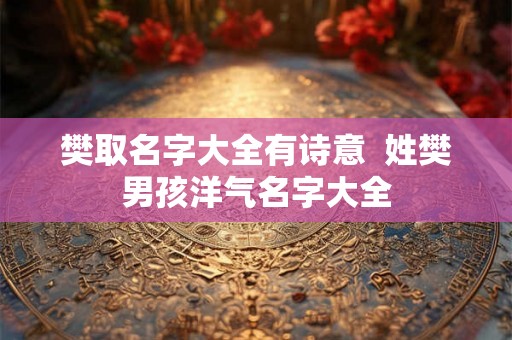 樊取名字大全有诗意  姓樊男孩洋气名字大全