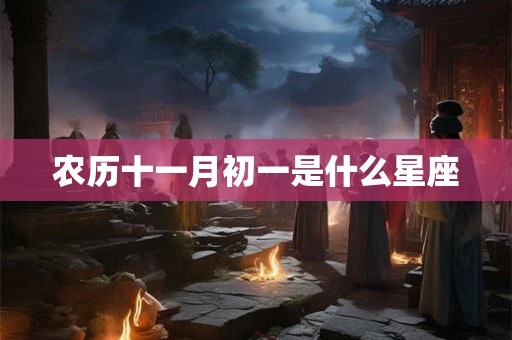 农历十一月初一是什么星座