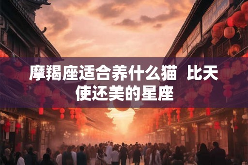 摩羯座适合养什么猫  比天使还美的星座