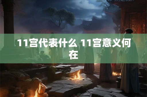 11宫代表什么 11宫意义何在 11宫代表什么 11宫意义何在