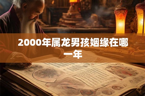 2000年属龙男孩姻缘在哪一年