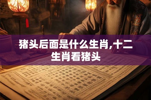 猪头后面是什么生肖,十二生肖看猪头 猪头后面是什么生肖,十二生肖看猪头