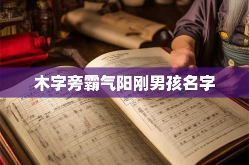 木字旁霸气阳刚男孩名字 木字旁霸气阳刚男孩名字