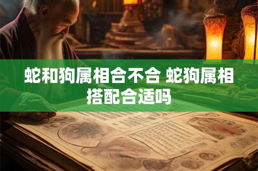 蛇和狗属相合不合 蛇狗属相搭配合适吗