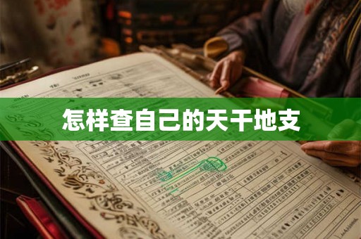 怎样查自己的天干地支