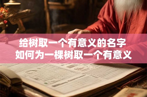 给树取一个有意义的名字 如何为一棵树取一个有意义的名字