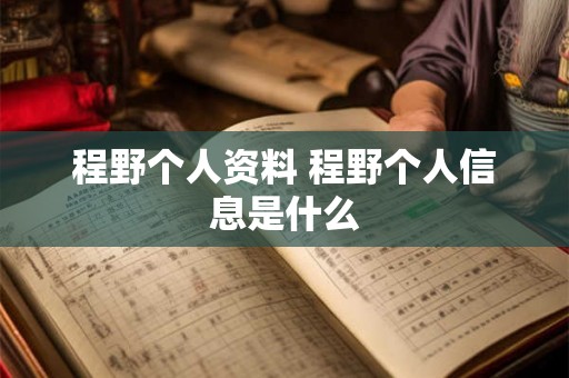 程野个人资料 程野个人信息是什么