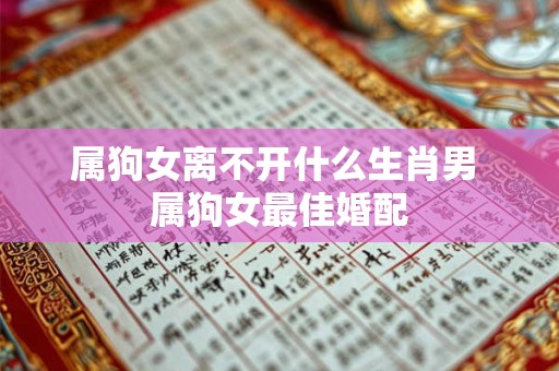 属狗女离不开什么生肖男 属狗女最佳婚配