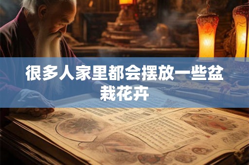 很多人家里都会摆放一些盆栽花卉