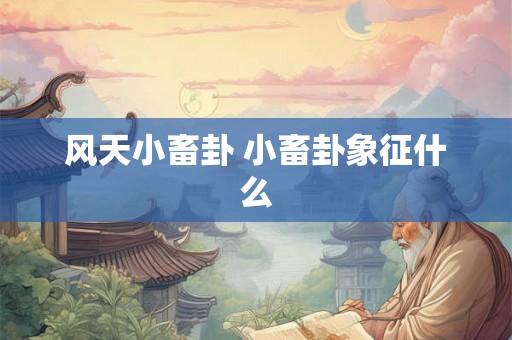 风天小畜卦 小畜卦象征什么