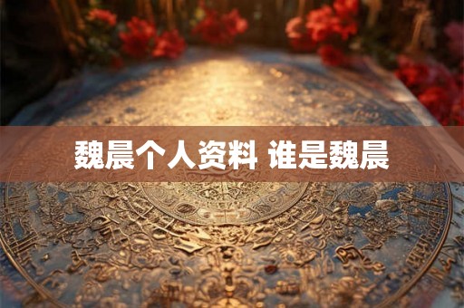 魏晨个人资料 谁是魏晨