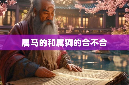属马的和属狗的合不合