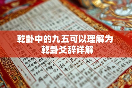 乾卦中的九五可以理解为  乾卦爻辞详解
