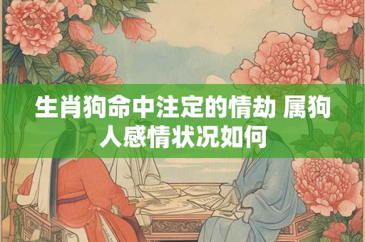 生肖狗命中注定的情劫 属狗人感情状况如何 生肖狗命中注定的情劫 属狗人感情状况如何