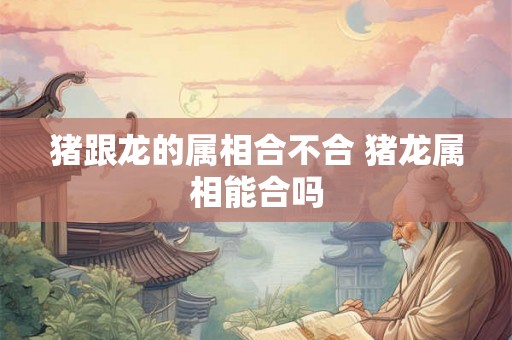 猪跟龙的属相合不合 猪龙属相能合吗