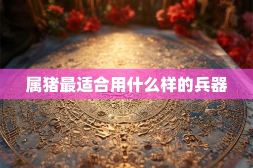 属猪最适合用什么样的兵器 属猪最适合用什么样的兵器