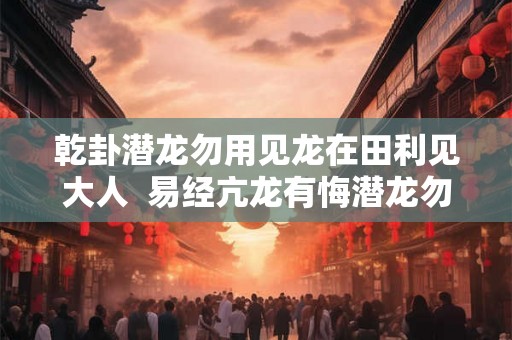 乾卦潜龙勿用见龙在田利见大人 易经亢龙有悔潜龙勿用 乾卦潜龙勿用见龙在田利见大人 易经亢龙有悔潜龙勿用