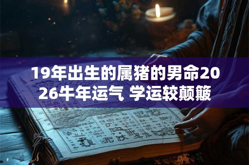19年出生的属猪的男命2026牛年运气 学运较颠簸