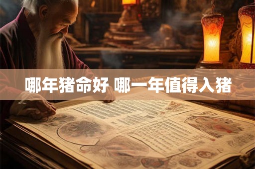 哪年猪命好 哪一年值得入猪