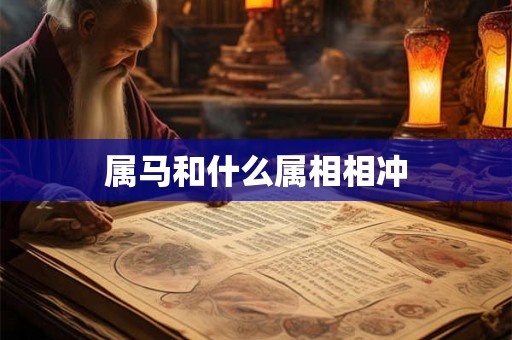 属马和什么属相相冲