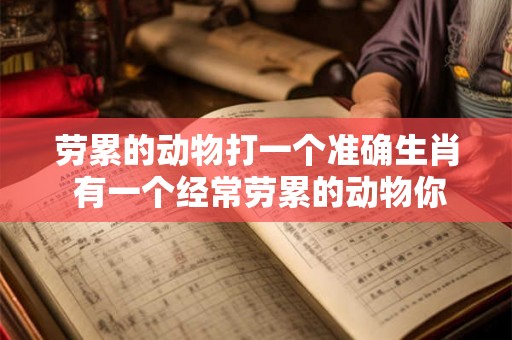 劳累的动物打一个准确生肖 有一个经常劳累的动物你能猜出它的生肖吗