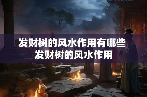 发财树的风水作用有哪些 发财树的风水作用