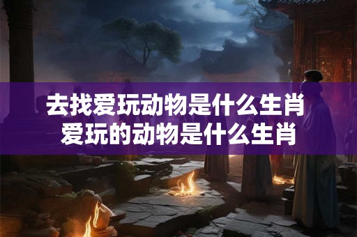 去找爱玩动物是什么生肖 爱玩的动物是什么生肖