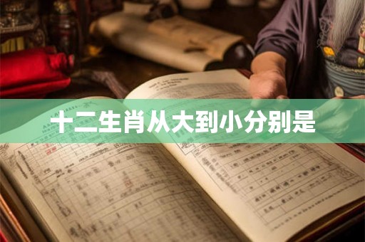 十二生肖从大到小分别是