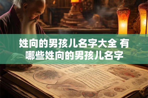 姓向的男孩儿名字大全 有哪些姓向的男孩儿名字 姓向的男孩儿名字大全 有哪些姓向的男孩儿名字