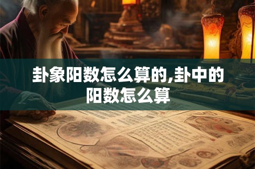 卦象阳数怎么算的,卦中的阳数怎么算 卦象阳数怎么算的,卦中的阳数怎么算