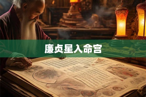廉贞星入命宫