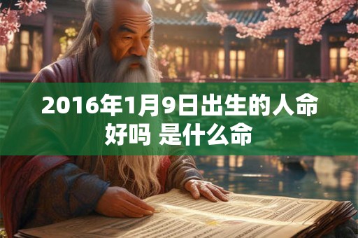 2016年1月9日出生的人命好吗 是什么命