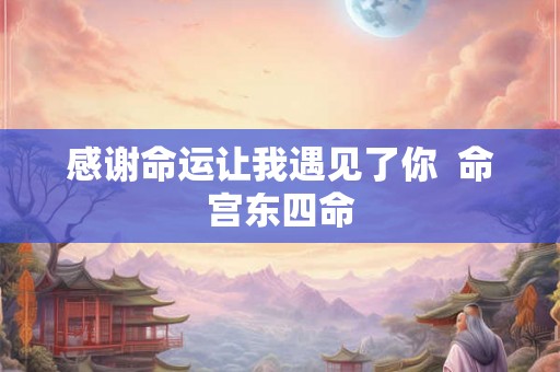 感谢命运让我遇见了你  命宫东四命